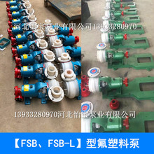 氟塑料合金离心泵  化工泵25FSB-25L 耐酸耐碱耐腐泵衬氟泵卧式