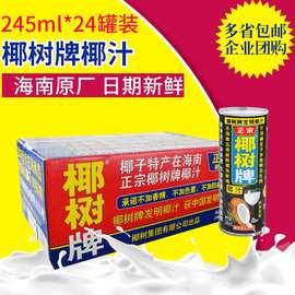 椰树牌椰子汁 椰子水果味饮料 椰树椰汁245ml×24罐装整箱