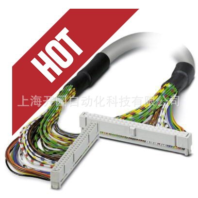 2289104菲尼克斯电缆-FLK 50/EZ-DR/ 250/KONFEK-圆形系统电缆