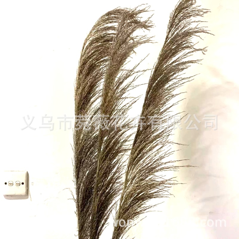 微信图片_20201116124919