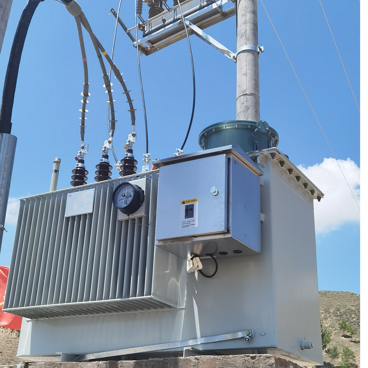 SVR-4000KVA高压馈电调压器 油田钻探 石油 天然气开采10KV升压器
