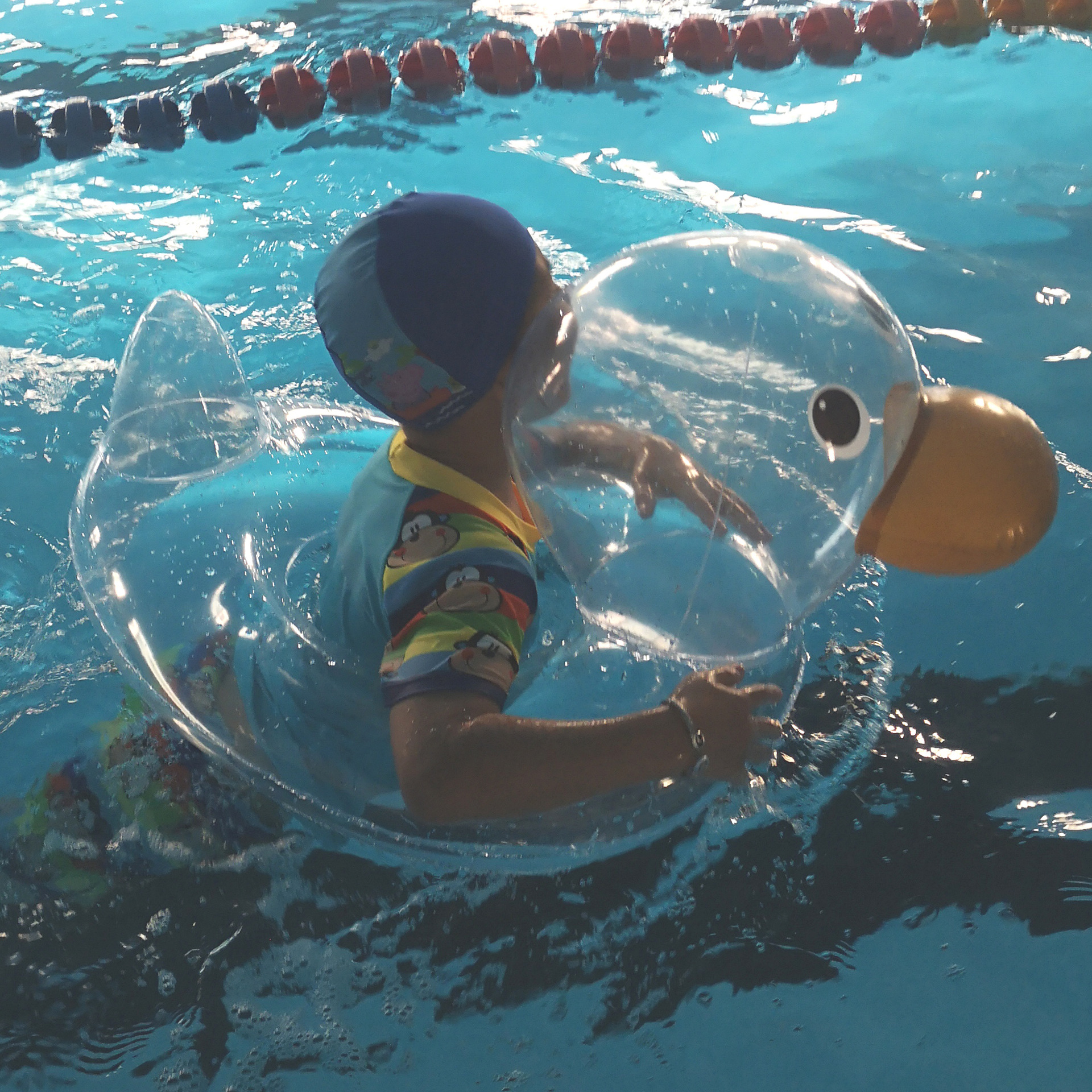 跨境现货批发PVC充气透明鸭游泳圈 PVC大头鸭泳圈戏水坐圈当天发|ms