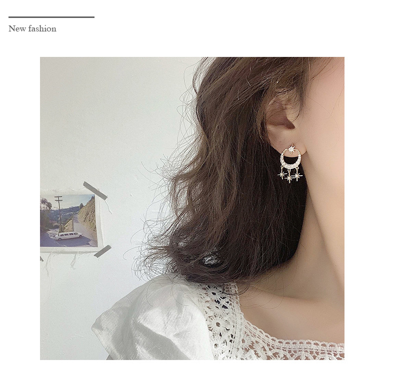 Earrings Temperament Simple Fashion Micro-set Zircon Earrings New  Wild Earrings Wholesale Nihaojewelry display picture 3