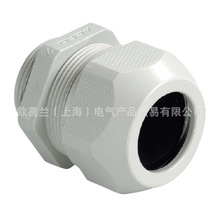 M32������|���^1555.32.25