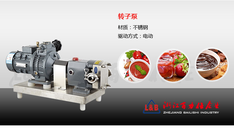 转子泵新_02
