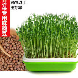 加拿大麻豌豆价格 最新加拿大麻豌豆价格 批发报价 价格大全 阿里巴巴