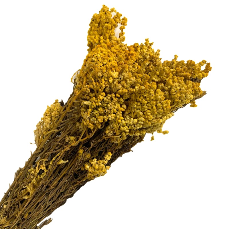 微信图片_20200503143243