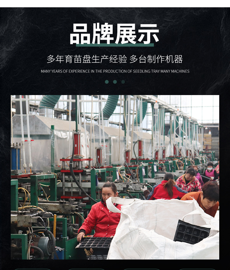 豆芽盘,育苗盘,芽菜盘,育苗穴盘,加厚育苗盘,72孔育苗盘,穴盘