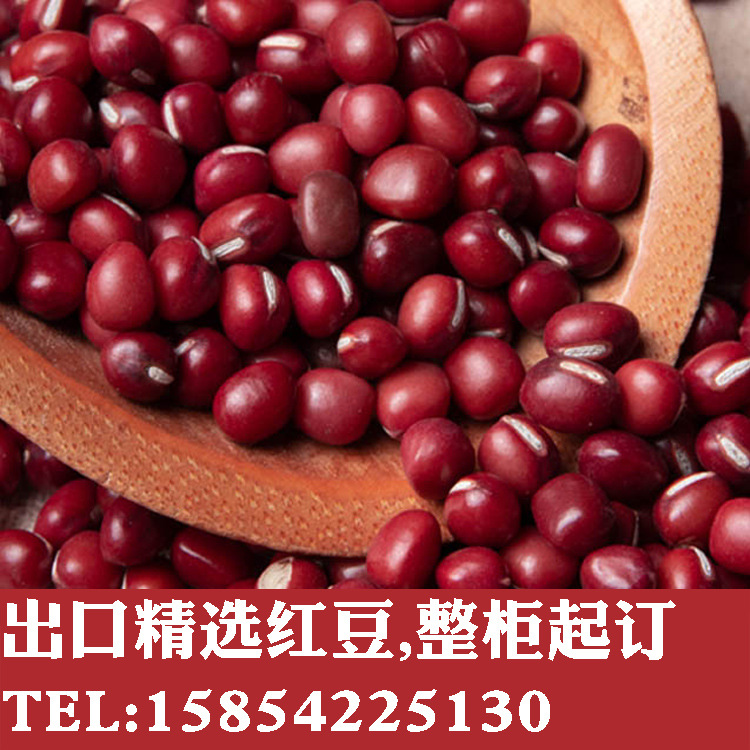 红豆1