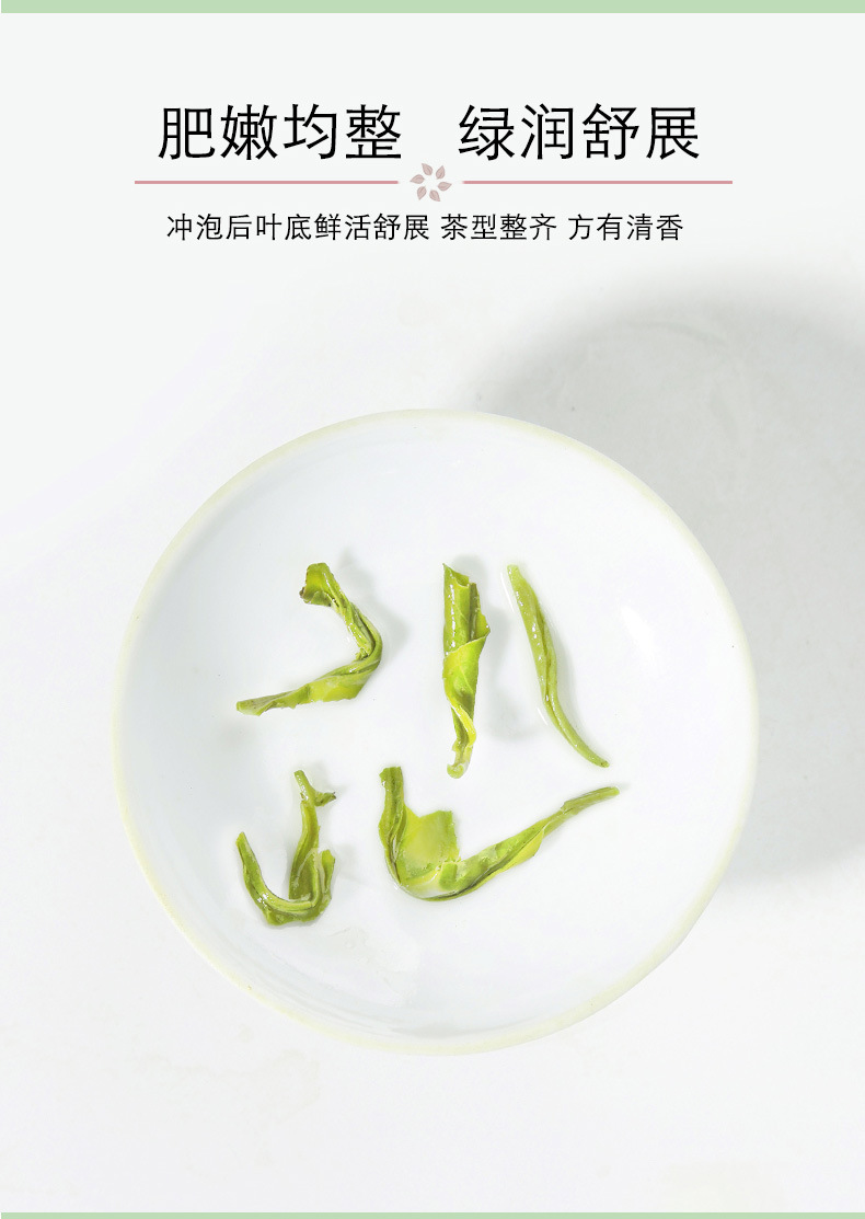 绿茶_09.jpg