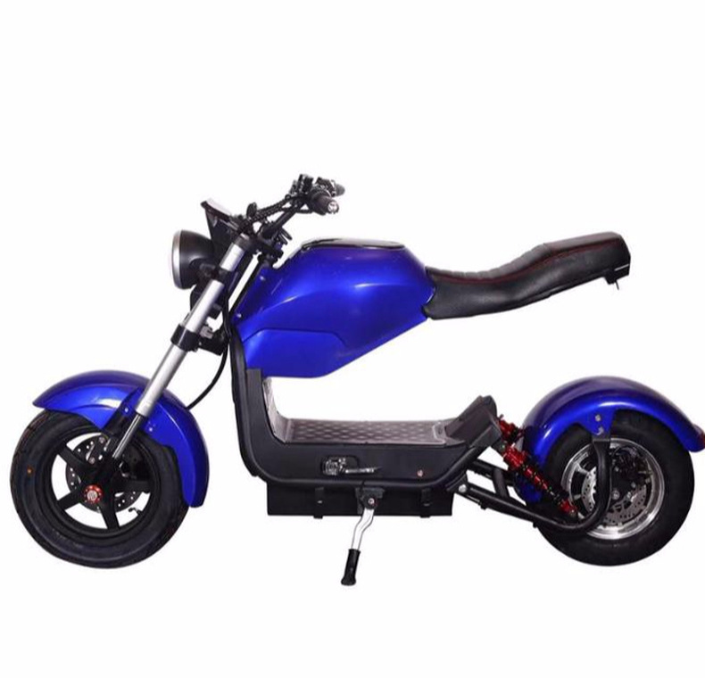 New EEC Flying Leopard Harley Motorcycle Electric Motorcycle 2000W High Power Cool Sports Car