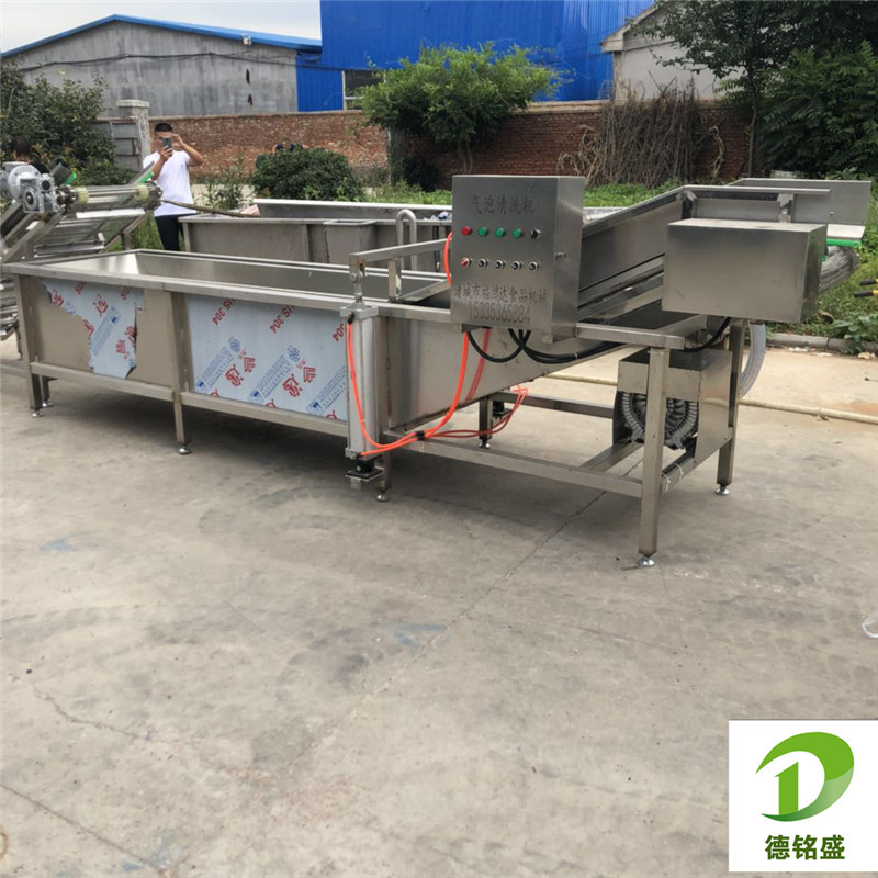 山东生产气泡清洗机生产厂家 山楂气泡清洗机 喷淋式药材清洗机