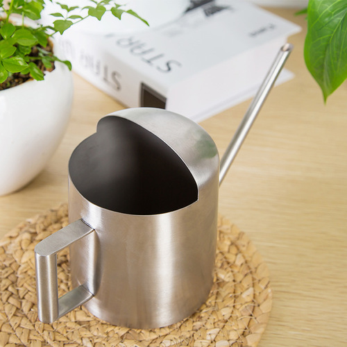 Stainless steel shower kettle long mouth metal gardening green plant succulent watering kettle small children mini watering kettle 300ML