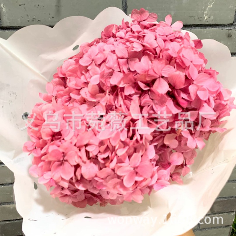 微信图片_20200429182845