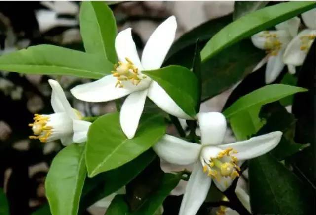 a6f1c6d011ec3eb8-ca076c8ce3342