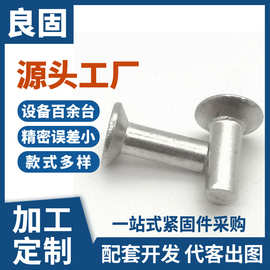 碳钢电镀锌心沉头铆钉 拉钉铆接紧固件非标异形螺丝工厂定做