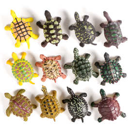 迷你仿真实心乌龟模型12只装 野生动物搪胶水龟陆龟摆件玩具手办