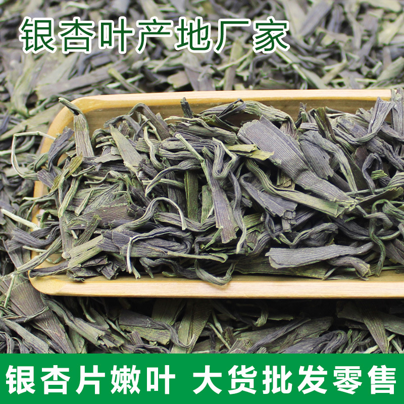 銀杏茶古樹嫩葉銀杏葉片精制脫毒銀杏葉片