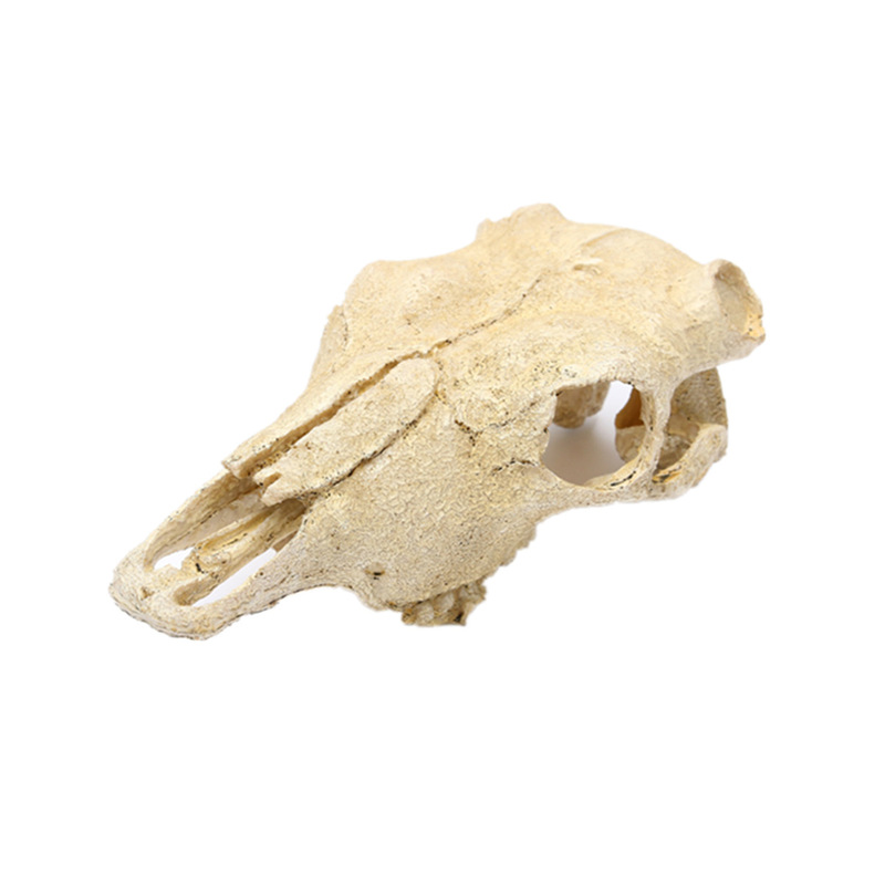 Aquarium Fish Tank Ornaments Water Grass Landscape Sheep Skull Resin Skull Landscape Decoration Pet Halloween Skull Skull Head