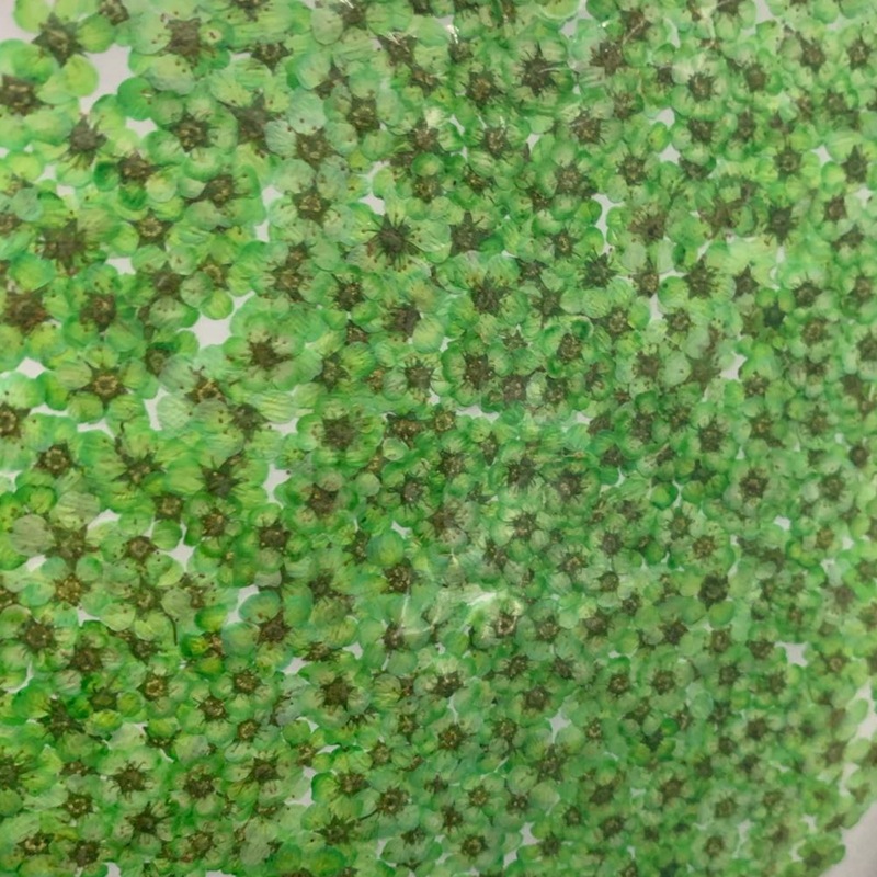 微信图片_20200415230714