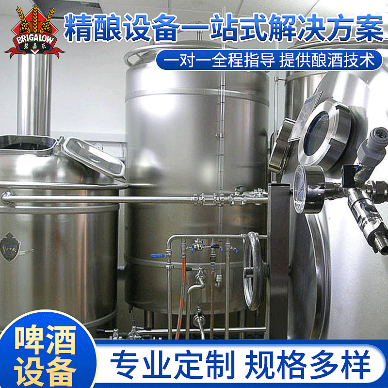 2吨酒厂不锈钢发酵罐精酿设备精酿啤酒生产线精酿啤酒设备可定制