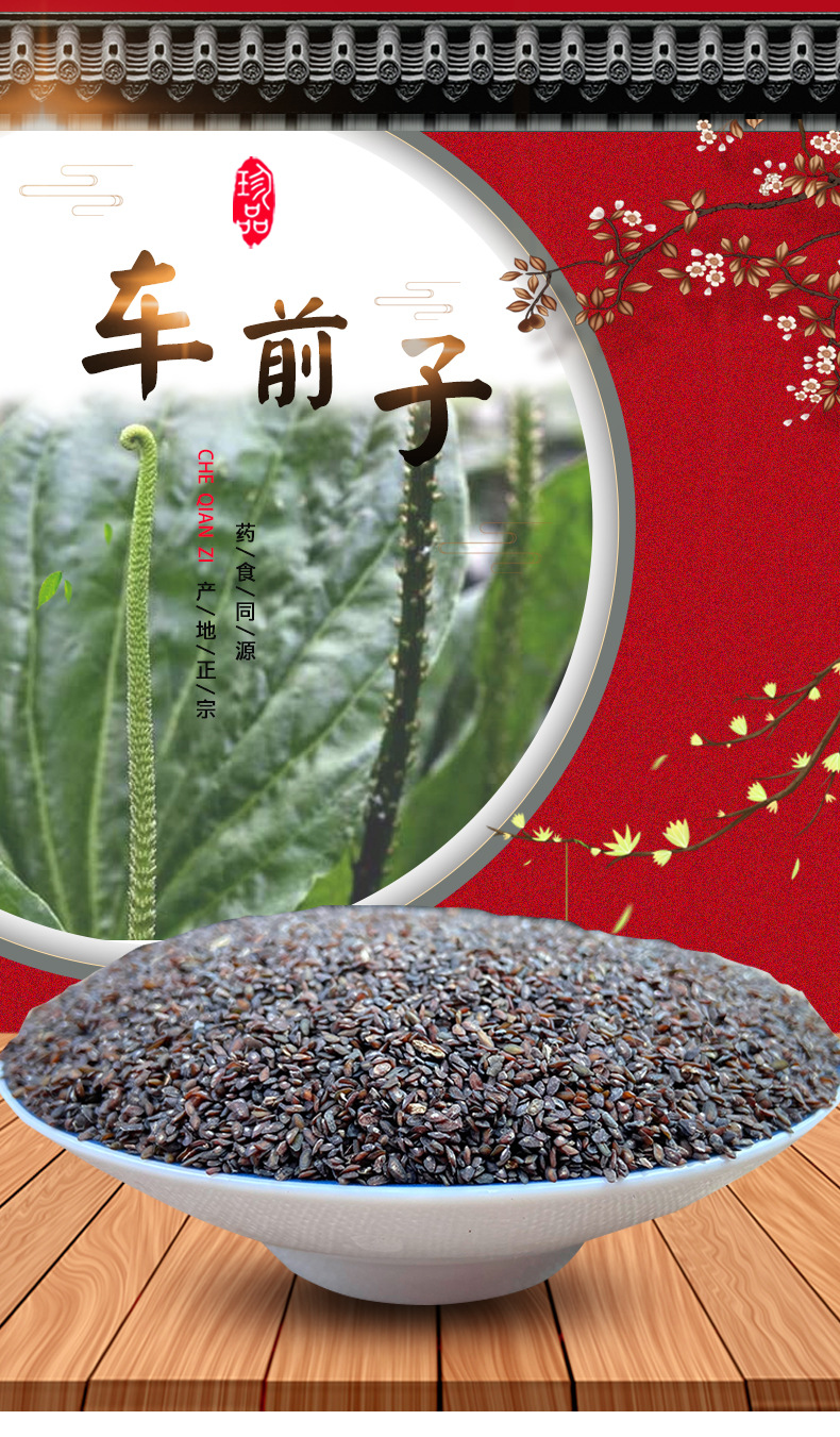 Plantago Seed Che Qian Zi Dried Whole Seeds 500g for Culinary and Traditional Herbal Use overview