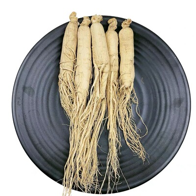 Changbai Mountain Ginseng Ginseng All beard white ginseng Radix ginseng and white ginseng 20-25 Big branch