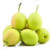 新疆库尔勒香梨子 新鲜当季水果酥梨净重9斤100克中果产地直发