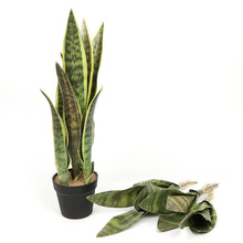 ���滨��Ƥ�m���WINS�Gֲ�҃��辰�͏d�������ֲ��S��ֱ�N