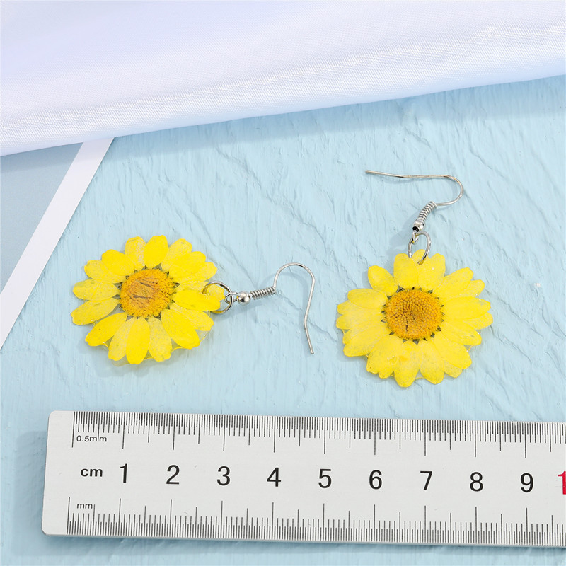 Korea Dried Flower  Earrings display picture 2