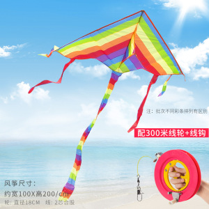 潍坊风筝小卡通老鹰蝴蝶线轮初学者大型成人高档微风易飞儿童新款