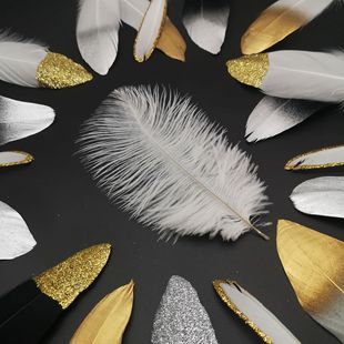 ���|�F؛�r�Bë15-20CM��ɫ������Сë���յ��߶Y���b��r�B��ë