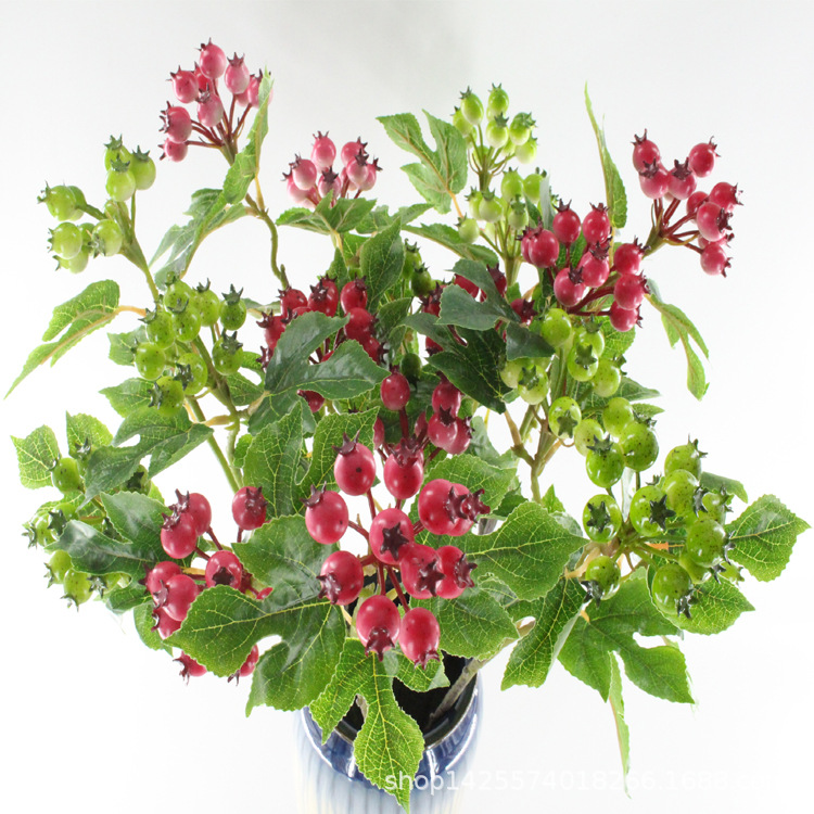 XRG-005 3叉小山楂果60厘米 (4).jpg