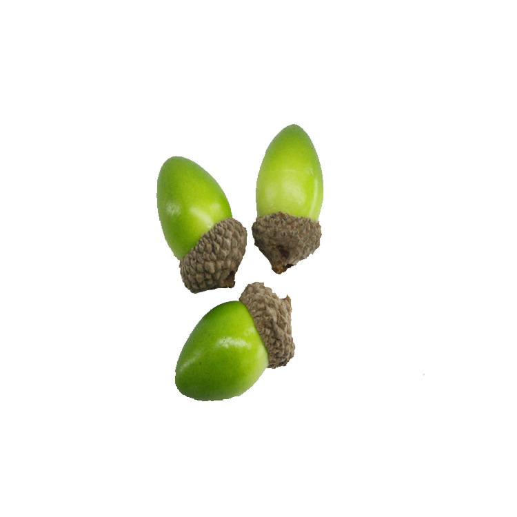 橡果绿色.jpg