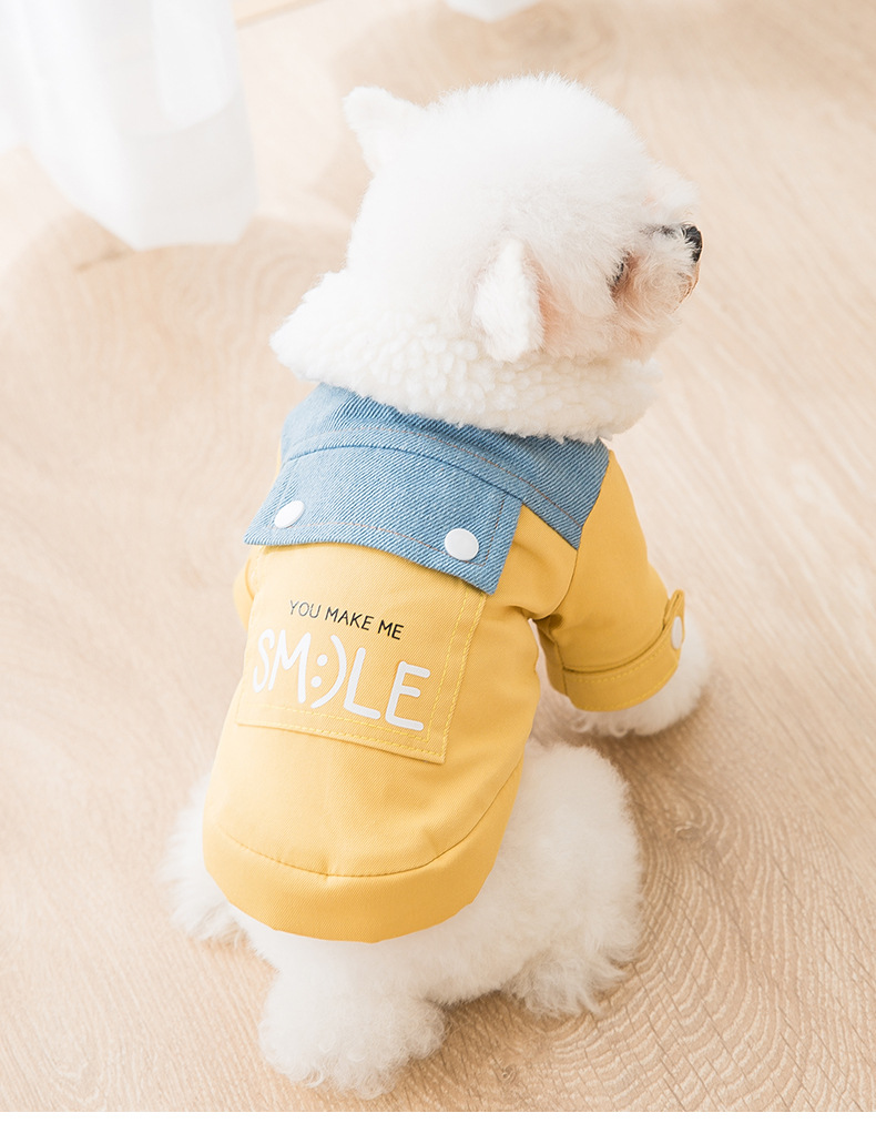 Dog outfit 1