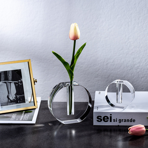 Modern Minimalist Vase, Nordic INS Style, Fresh and Clean Transparent Small Chrysanthemum Vase, Flower Arrangement Home Decor