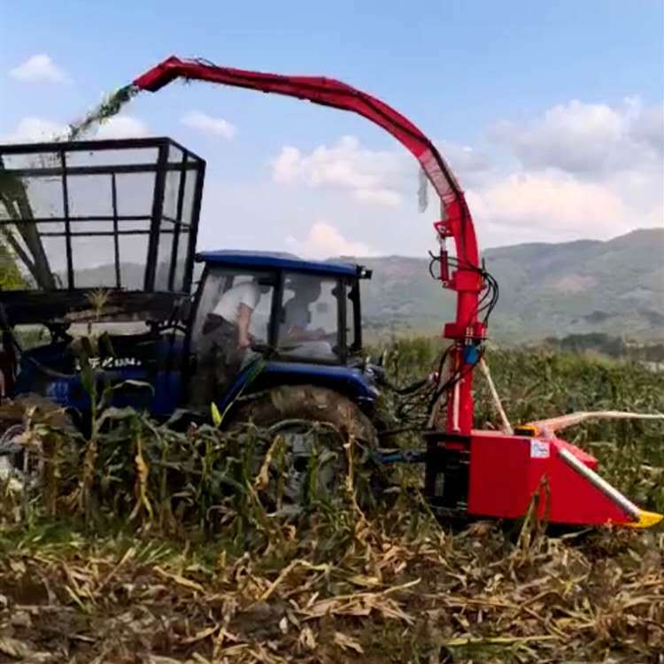 微信图片_20200228173300