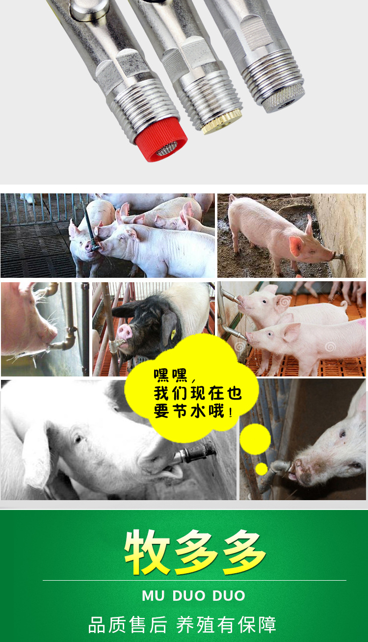20200512_114826_050.jpg