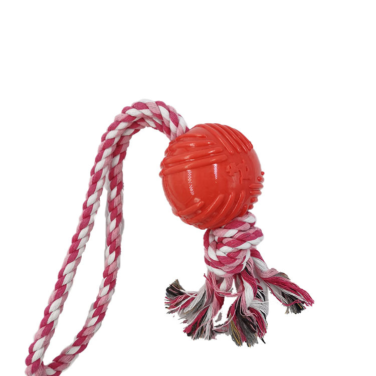 Cuerda de algodón para perros TPR Bola de juguete para mascotas cuerda de tracción molar bola resistente a mordeduras de perros Entrenamiento Educativo suministros interactivos fábrica al por mayor