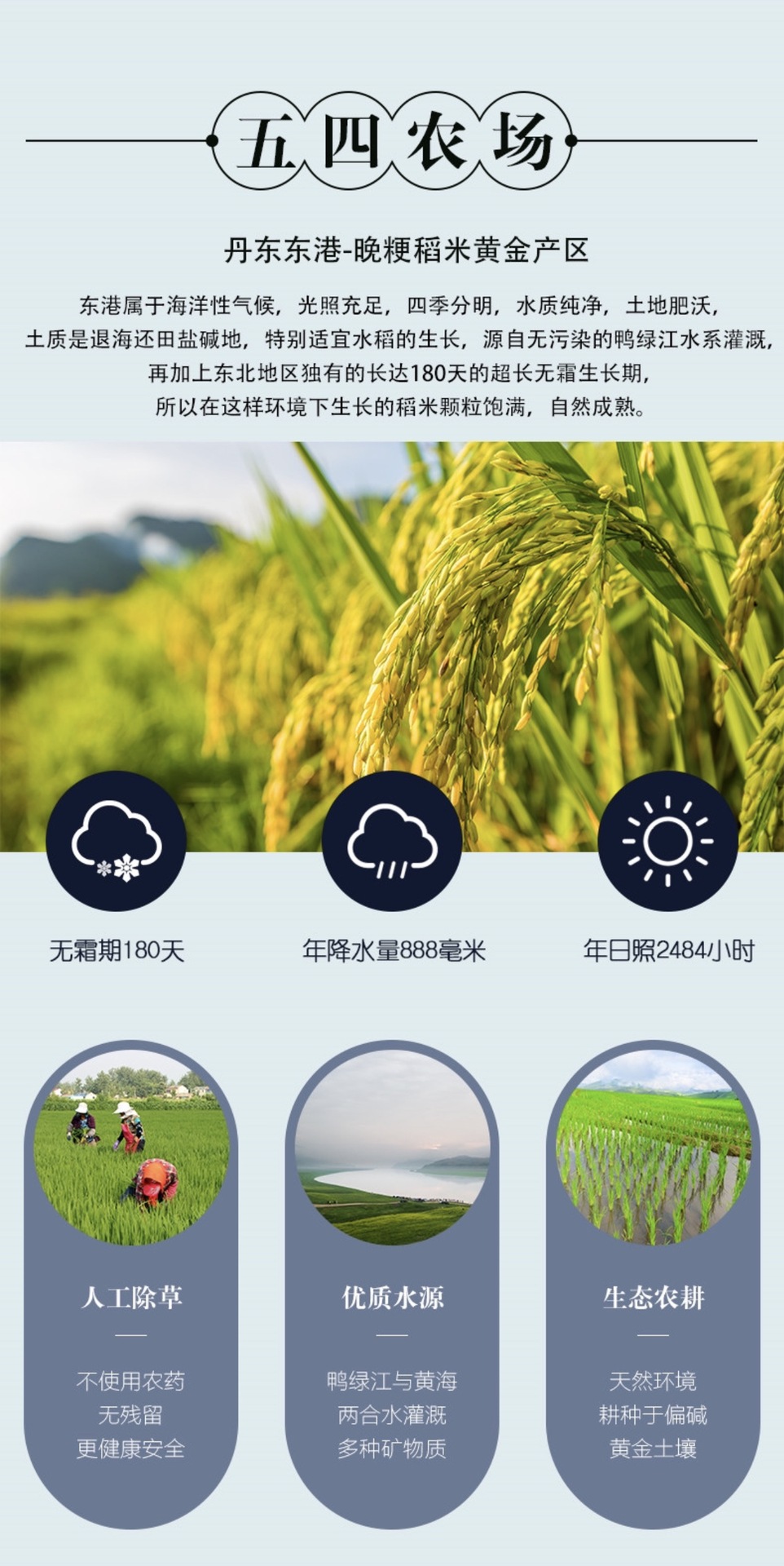 b012bd4f4803f8a69cb2d64ce2c9c7