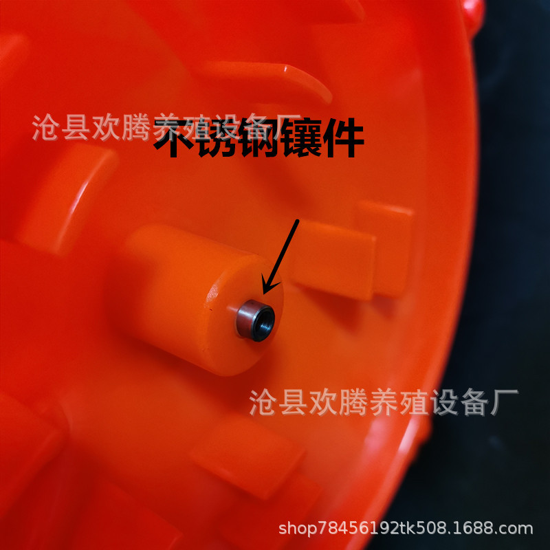 IMG_20200501_174019_副本