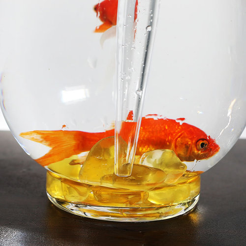 Poop sucking hand, pinch and pump turtle fish poop, feces sucker, turtle fish tank water change toilet, mini small straw