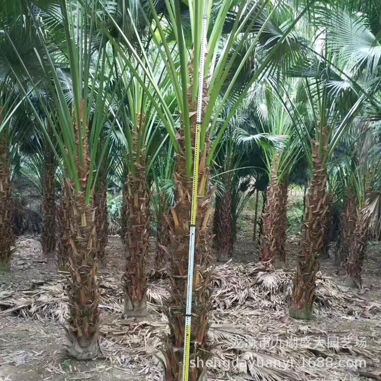 IMG_5637(20200228-235849)