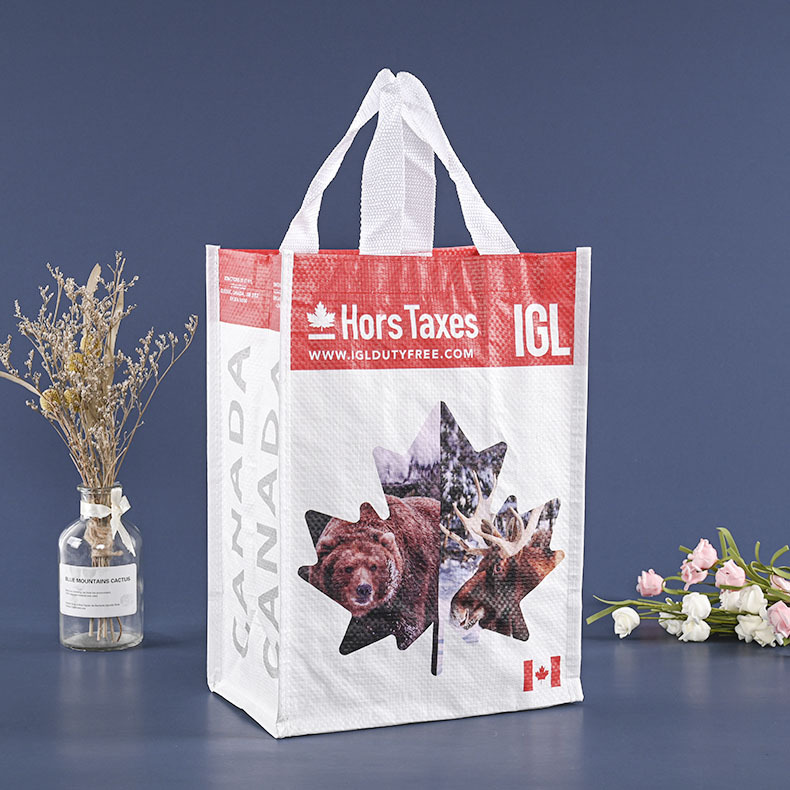 创意塑料PP覆膜手提编织袋 蛇皮彩印动物广告服装购物礼品袋定 制