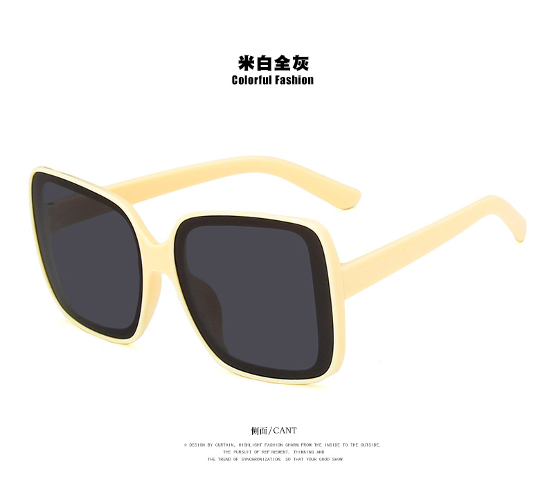 Simple Style Women's Sunglasses display picture 7