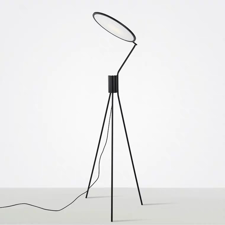 Floor Lamp Living Room Modern Minimalist Bedroom Bedside Lamp Creative Personality Light Luxury Hotel Model Room Nordic Floor Lamp