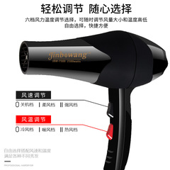 Jinbo Wang Salon Professional High-Power Hair Dryer Household Hair Dryer with Cold and Hot Air Negative Ion Cross-Border Haircut Salon