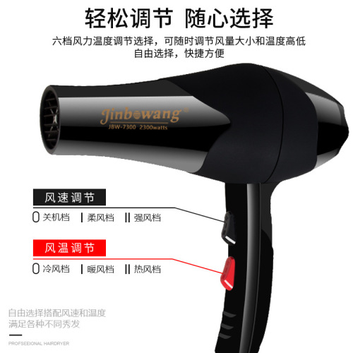 Jinbo Wang Salon Professional High-Power Hair Dryer Household Hair Dryer with Cold and Hot Air Negative Ion Cross-Border Haircut Salon
