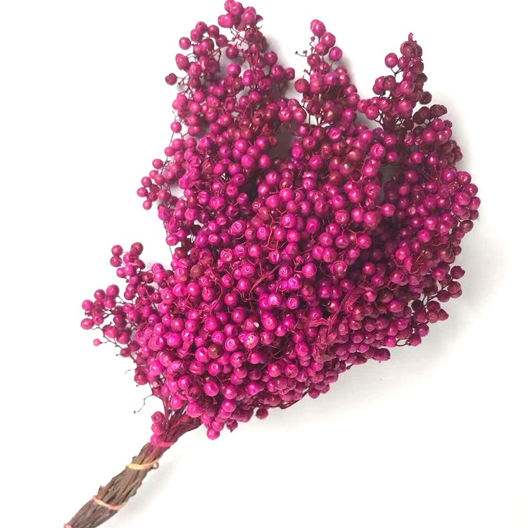 微信图片_20200209024519