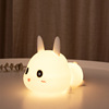 Cute children's night light, charging mode, Birthday gift